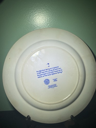 Wedgewood China Saratoga Springs NY 9 3/4 Zoll England 1902 - Bild 2 von 6