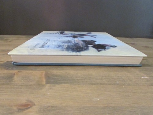 BIRDS AND LIGHT By Lars Jonsson - Hardcover *LIKE NEW* - Picture 5 of 6