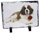 Ornaments/Figurines Saint Bernard Collectables