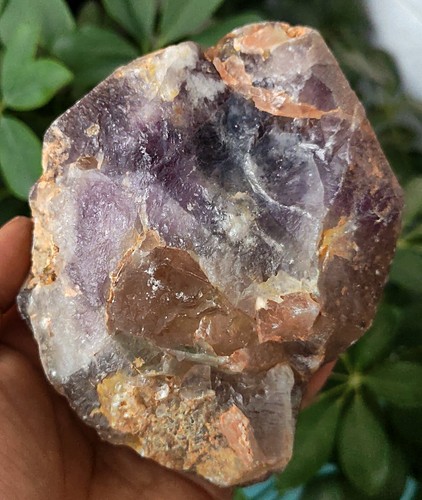 1090g2.39LB NUEVO HALLAZGO AMATISTA TIBETANO CUARZO CRISTAL RACIMO MUESTRA CURACIÓN - Imagen 4 de 17