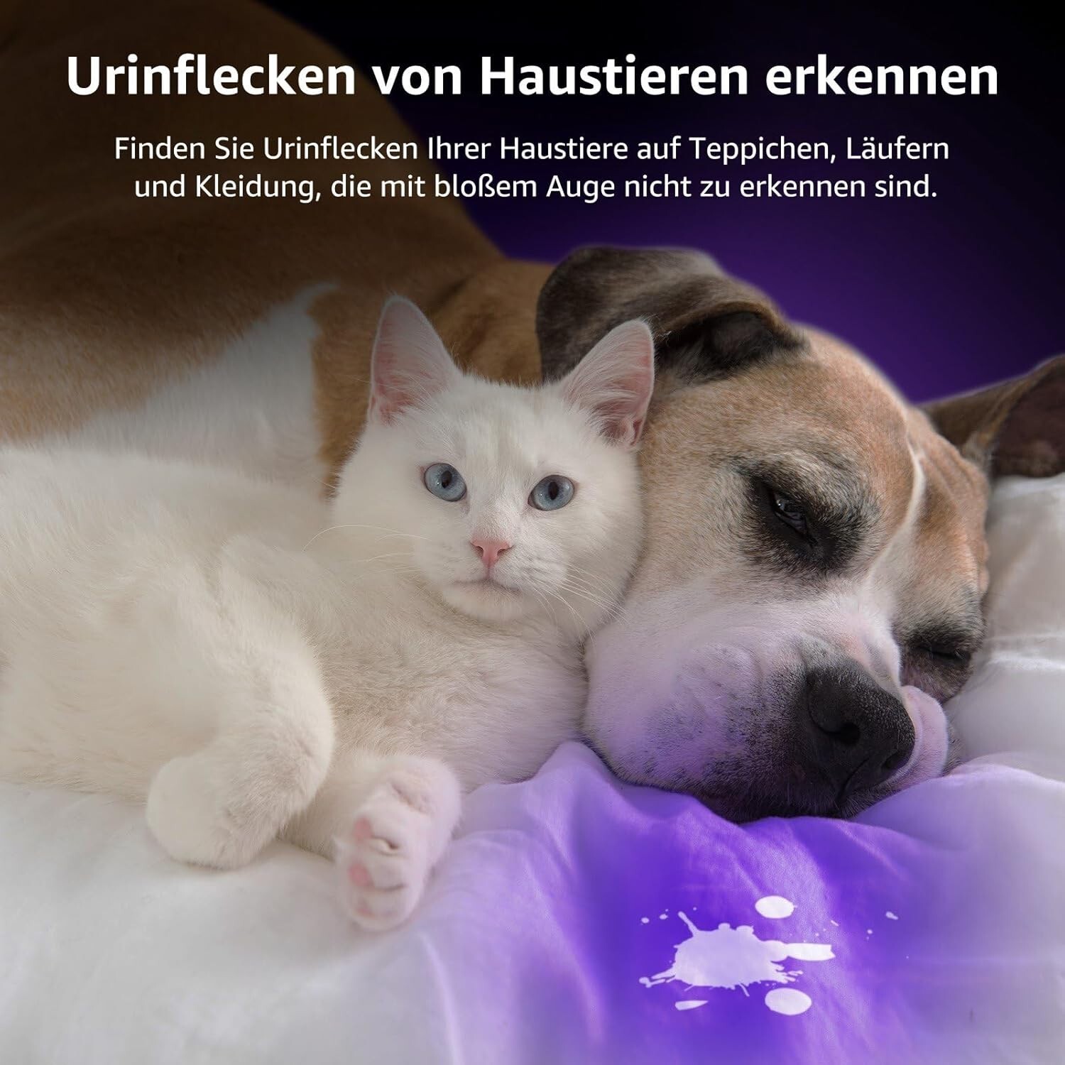 Bild 2 von 7