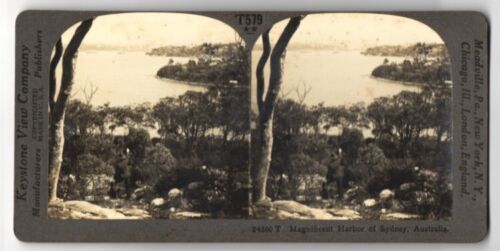 Stereo-Fotografie Keystone View. Co., Meadville, Ansicht Sidney, view to the ma  - Photo 1/2