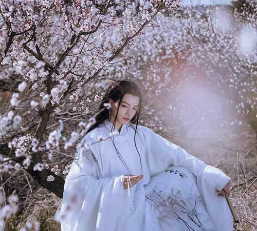 Men Chinese Ancient Traditional Hanfu Halloween Costume Fancy Dress StreetWear - Bild 10 von 13