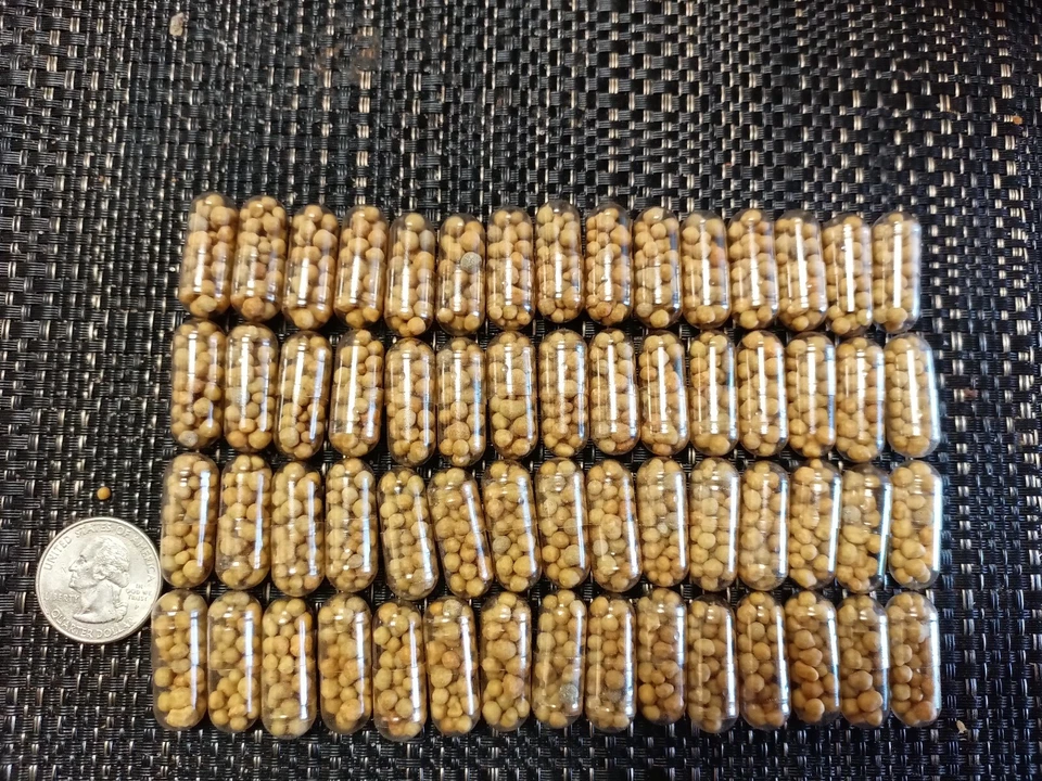 Osmocote Plus Root Tabs LARGE capsules size 000 BOOST Aquarium Plant Fertilizer - Image 3 of 4