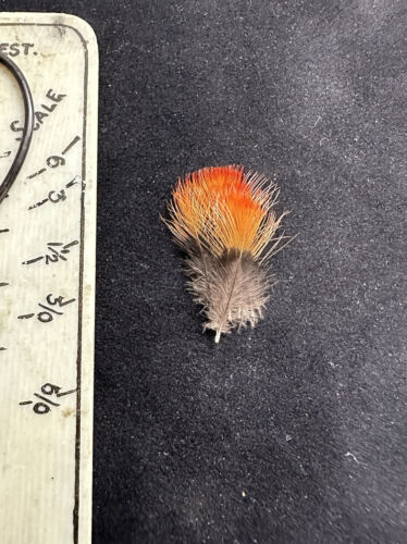 INDIAN CROW FEATHERS SALMON FLY TYING - Picture 2 of 2