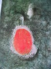 Bild 2 von 11