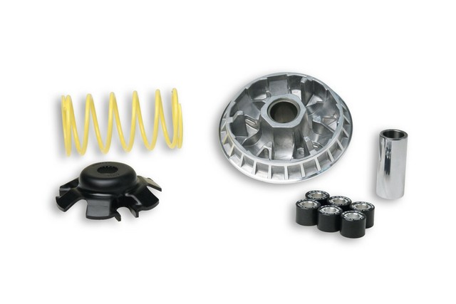 Variomatik Variator Malossi Multivar 2000 für Suzuki AH Sprinter 200 UH Burgman