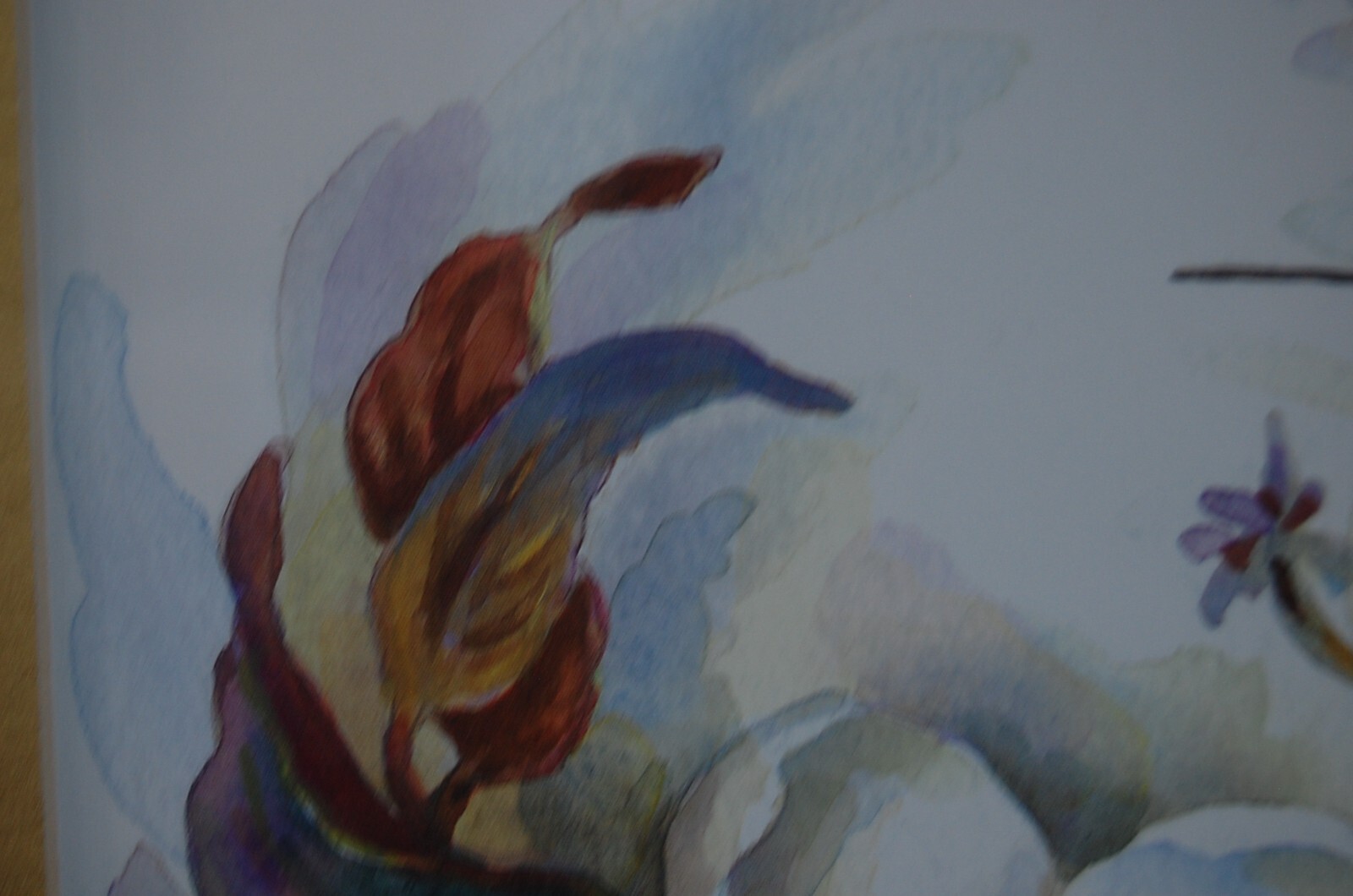 Bild 13 von 24