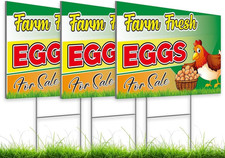 8X12 Inch 3X Double Sided Plastic Sign with H-Stakes Eggs for Sale Yard - Farm F