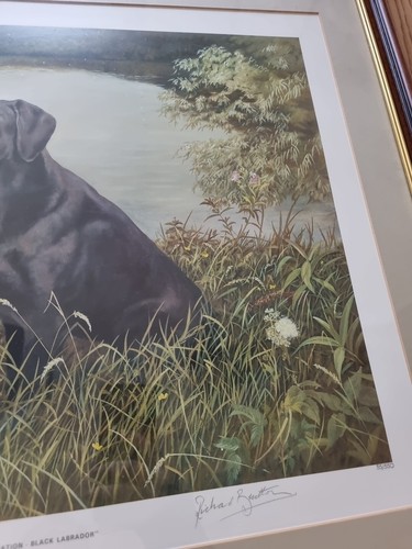 Richard Britton schwarz Labrador limitierte Auflage signierter Druck gerahmt groß 73x63 - Bild 8 von 24