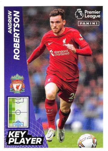 ADESIVO PANINI PREMIER LEAGUE 2023 - #226 - #433 EVERTON - MAN CITY 2022/23 - Foto 177 di 209