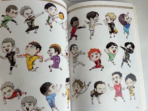 Haikyu!! 10o libro conmemorativo crónica anime japonés libro de arte usado muy bien - Imagen 14 de 23