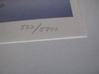 Picture 4 of 8