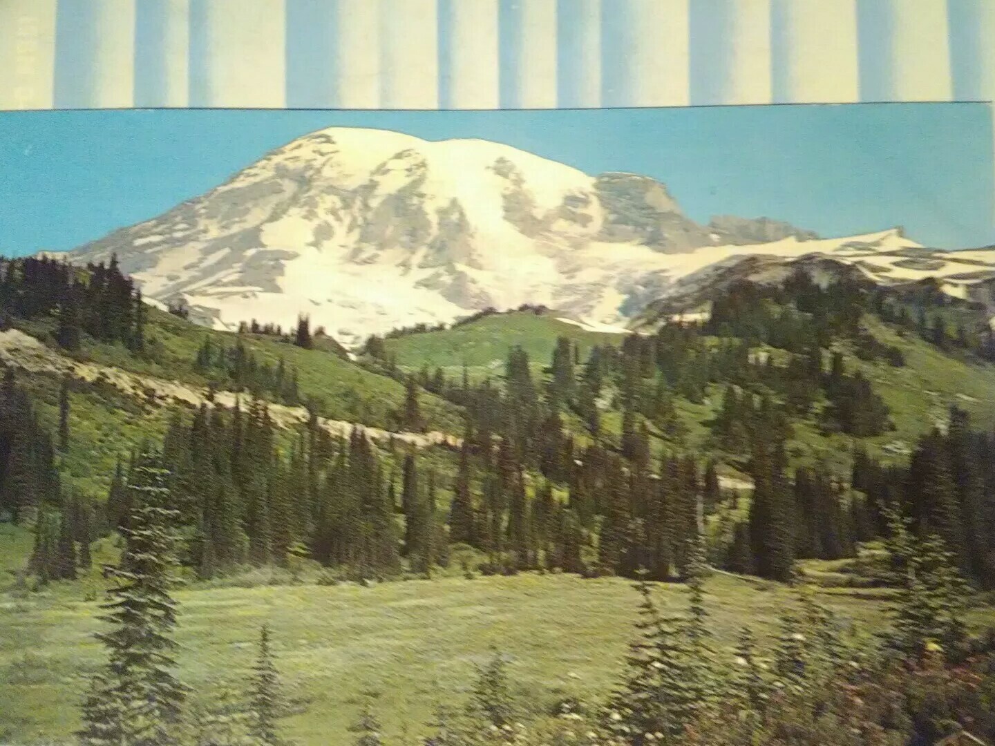 Picture 12 of 12