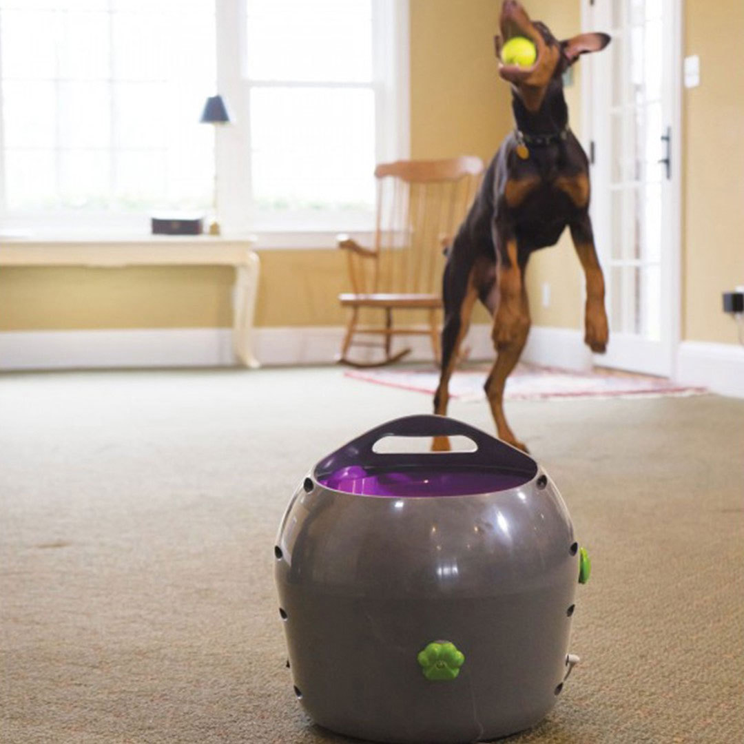 PetSafe Automatic Ball Launcher Fetch Machine Dog Toy 2Y Warranty