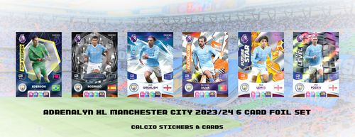Panini Adrenalyn XL Premier League 2023/24 2024 - Full Foil Card Team Set Select - Bild 13 von 19