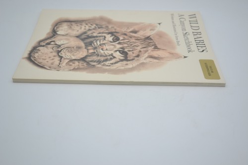Wild Babies A Canyon Sketchbook, Paperback, 1987, 1st Print, SIGNED Irene Brady - Picture 7 of 8