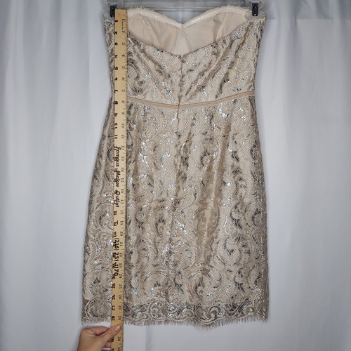 Jenny Yoo Strapless Dress 2 Hudson Beige Lace Empire Coquette Luxury Romantic - Picture 7 of 13