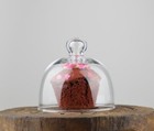 EMH Handmade Glass Display Cover Cloche Bell Dome With Knob Tall 10 cm x 11 cm