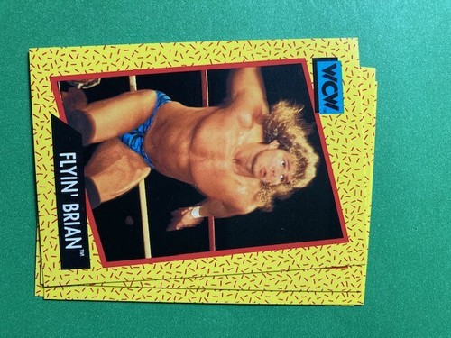 U Pick 2008 2009 2010 2013 Tristar TNA Wrestling Cards Hogan Sting Flair,1991WCW - Picture 128 of 250