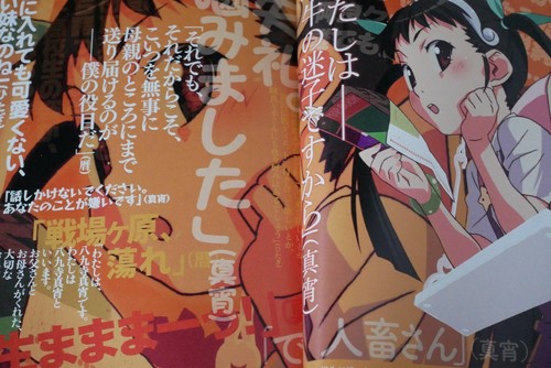 Nisio Isin Monogatari Series: Bakemonogatari Anime Complete Guide Book (Damage) - Bild 9 von 14