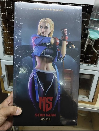 New STAR MAN MS-012 1/6 Street Girl Female Fighter 6 Cammy 12" Action Figure Toy