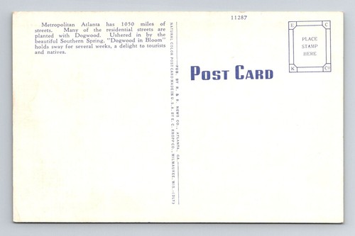Atlanta, GA-Georgia, Hartriegel Bäume in Blüte Antik, Vintage Souvenir Postkarte - Bild 2 von 2