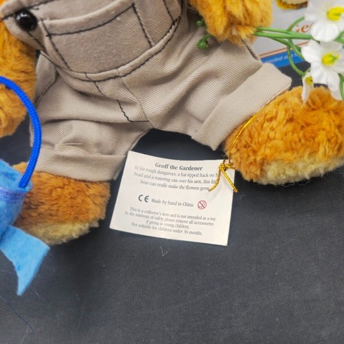 The Teddy Bear Collection- w/tags, no packaging- choose from the menu - Picture 139 of 409