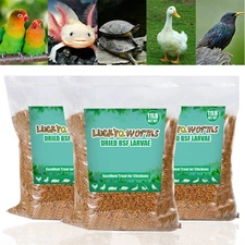 Bulk Dried BSF Mealworms for Wild Birds Food Chickens Hen Fish Treats Food Lot