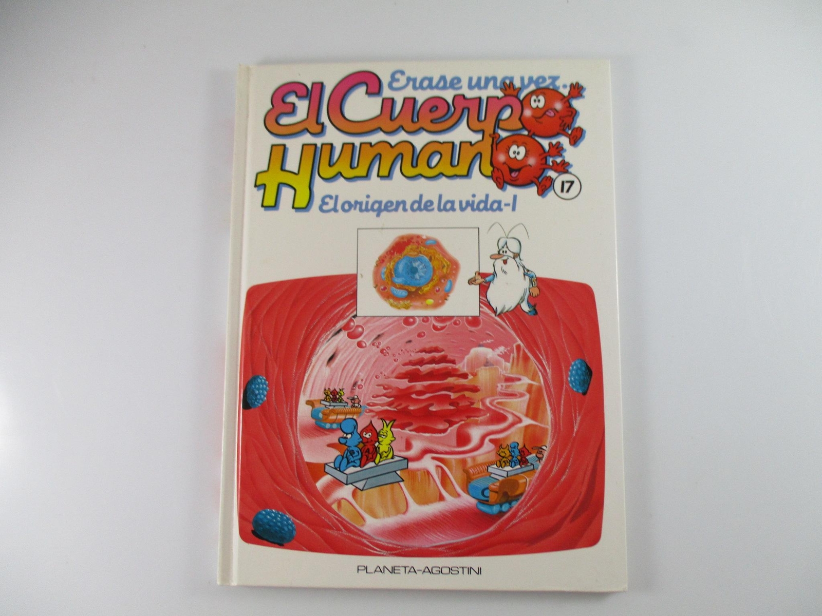 Foto 1 di 3