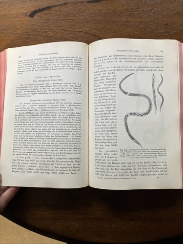 Die tierischen Parasiten der Männer Dr. Max Braun Original Deutsch 1908 A Stuber Verlag - Bild 17 von 20
