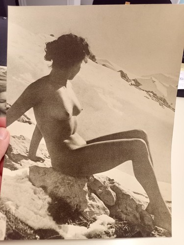 LOTTO 6 FOTO NUDO GERMANIA ANNI 30 40 AGFA BROVIRA AKT FFK NAKED WOMEN WW2 REICH - Foto 2 di 9