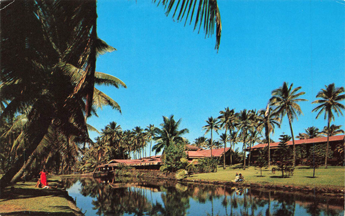 Vintage Hawaii Postkarte Kauai Insel Kokospalmen Werbung Tourismus Palmen