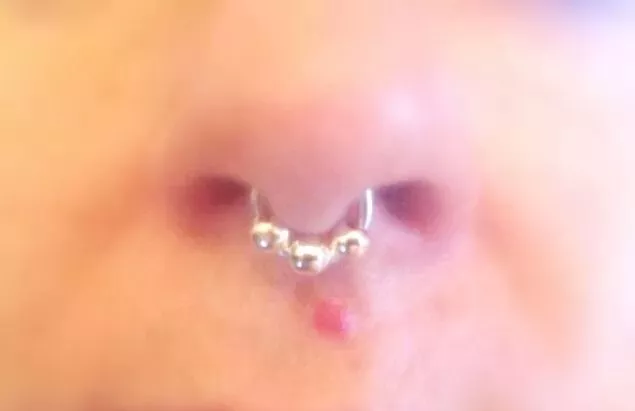 Septum clearance piercing ebay