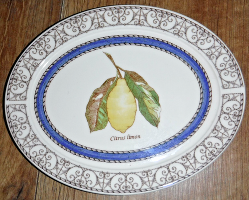 Wedgwood Sarah's Garden ovale Butterdose ~ brandneu ~ 1. Qualität - Bild 4 von 8