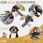Bild 2 von 63