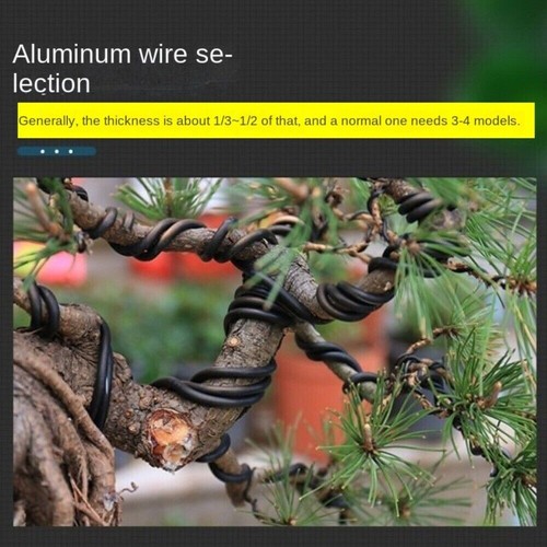 Alambres Bonsai Negro Aluminio Anodizado Bonsai Entrenamiento Alambre Longitud Total 5m/10m - Imagen 4 de 22
