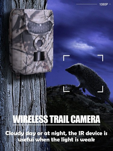 24MP 1080P HD Camara De Caza Trail Outdoor Wildlife Scouting Cam Visión Nocturna - Picture 11 of 14