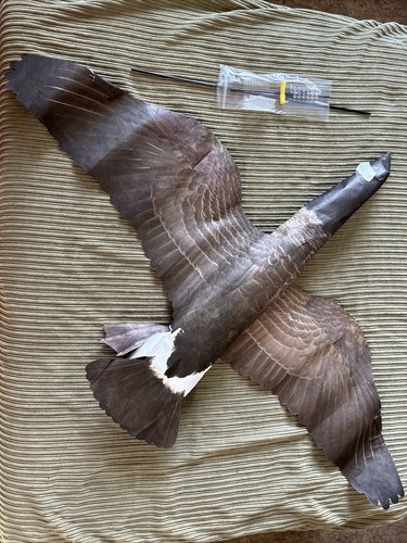 OUTLAW DECOY CANADIAN GOOSE WINDSOCK DECOY KITE 🇺🇸 USA MADE 🇺🇸 - Picture 2 of 7