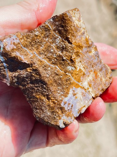 Rough Australian Boulder Opal Chunk 1443cts - Bild 8 von 8