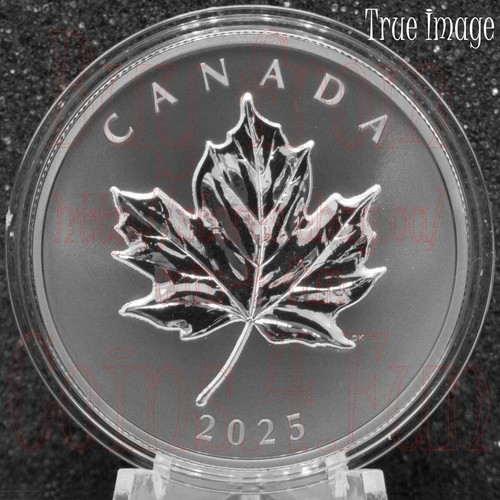 2025 Elegant Maple Leaf #1 - $20 Pure Silver Proof Rhodium-Plated Coin - Canada - Picture 1 of 3