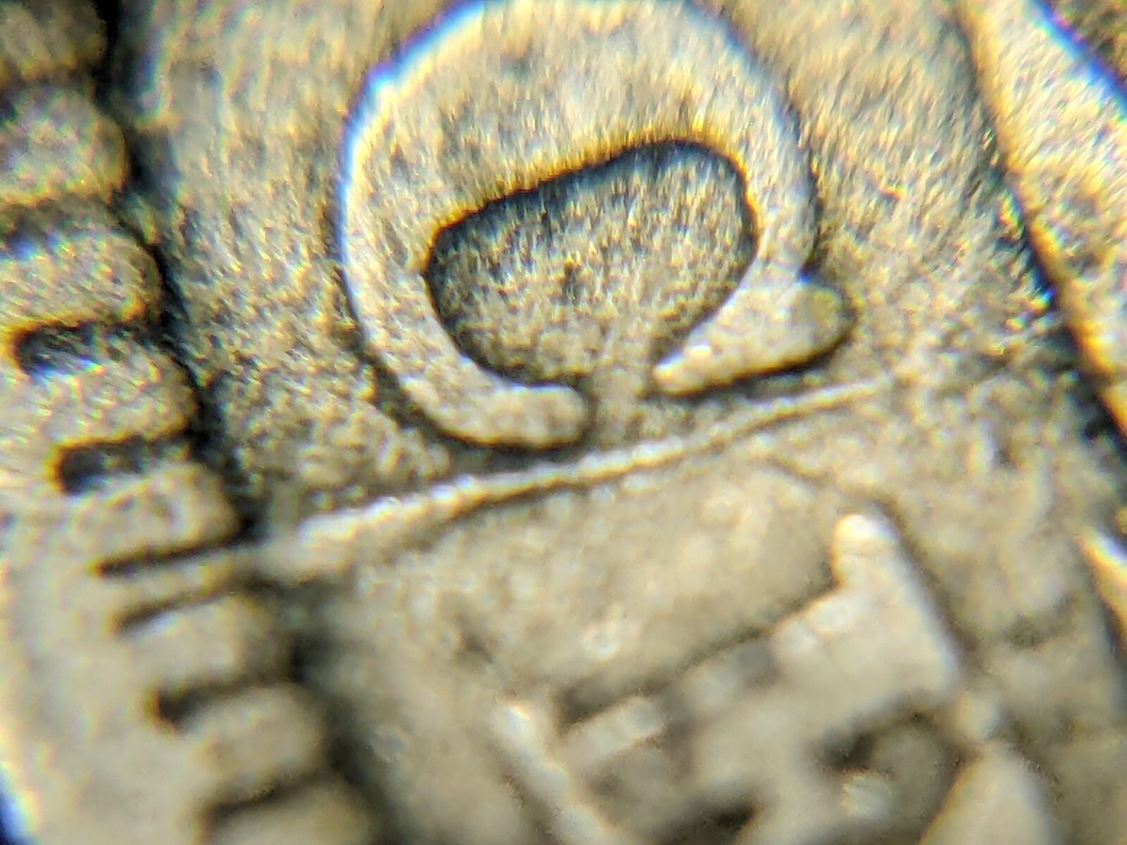 Picture 6 of 7