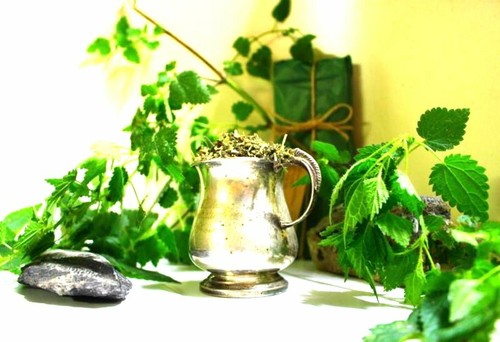Té de ortiga cortado hoja de hierbas té o té de hierbas para una vida muy saludable fresco  - Imagen 2 de 6