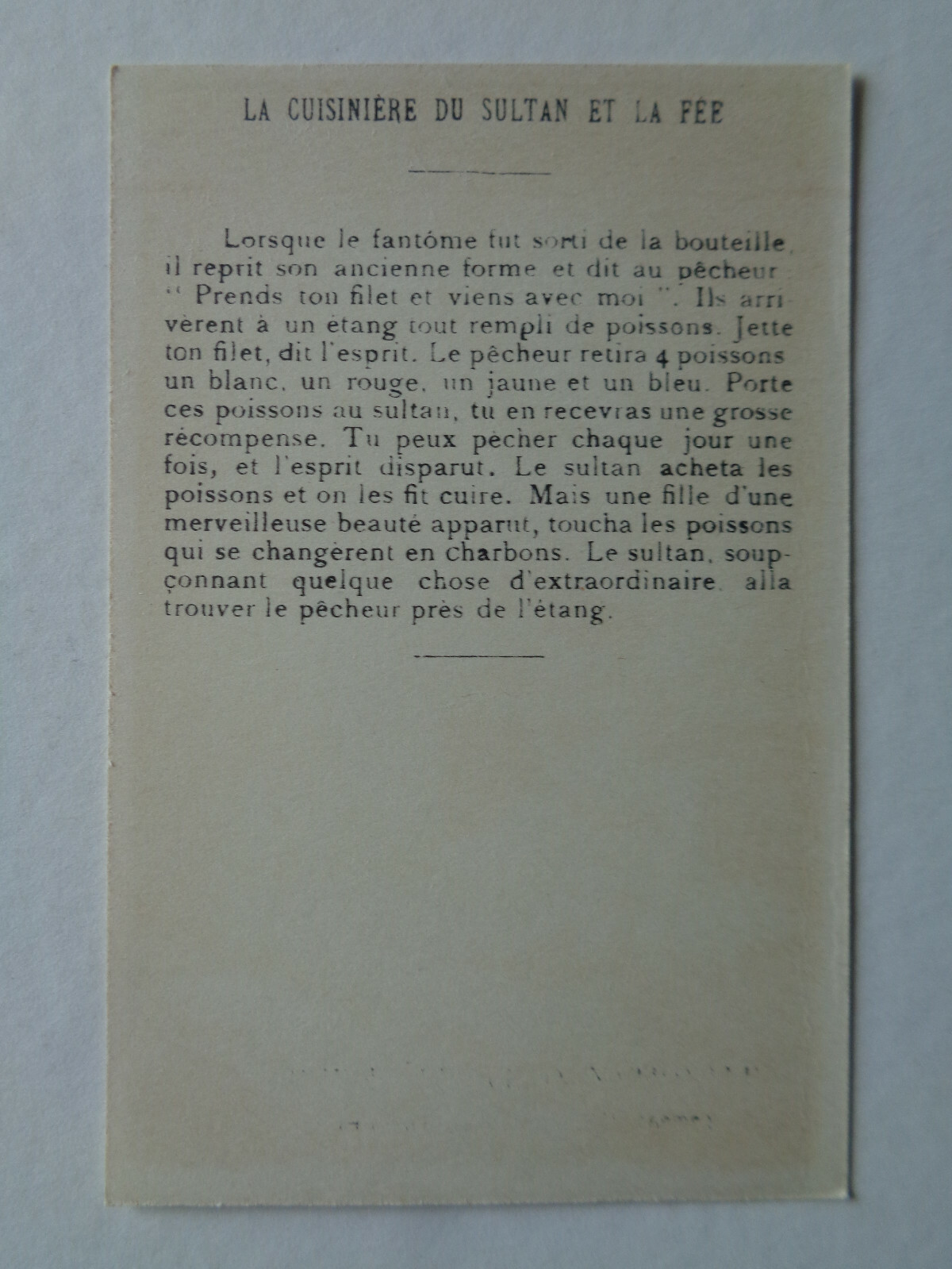 Foto 2 di 2