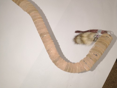 Deer Hoof Foot Taxidermy Walking Cane - Picture 6 of 7