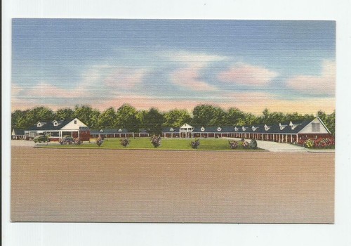 Magnolia Court Macon Georgia Postcard GA Vintage Linen Unused Motel on US 41 - Picture 1 of 2