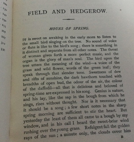 Field and Hedgerow: being the Last Essays of Richard Jefferies 1904 HC Longmans - Foto 7 di 10