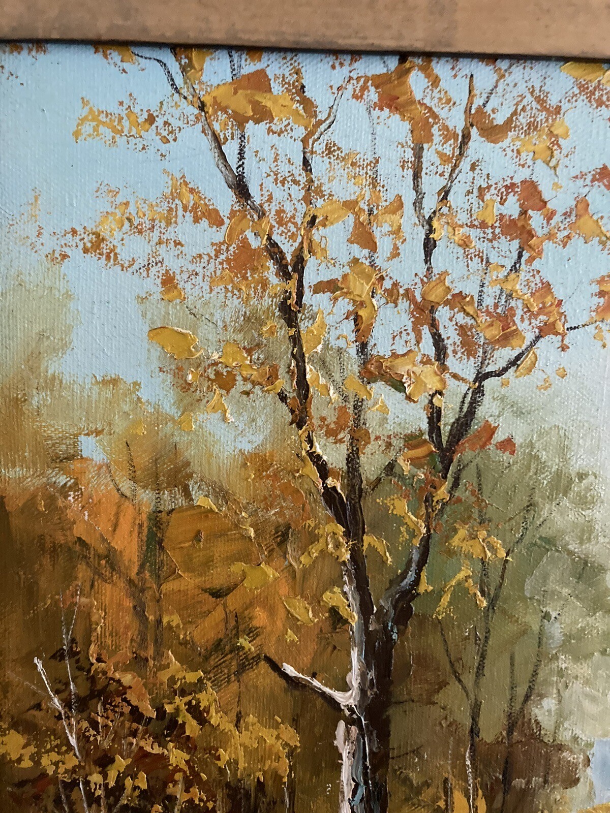 Foto 5 di 12