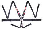 RaceQuip 747007RQP 6 Point Harness Camlock SFI 16.1 Pull Up Adjust Bolt-On/Wrap