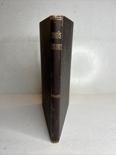 North American Zoology of George Ord 1894 Samuel Rhoads America SA28 - Picture 1 of 8